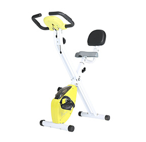 Magnetic Bike - DDS-920
