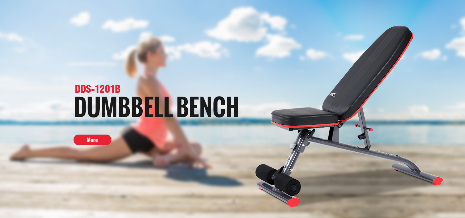 Dumbbell Bench - DDS-1201B